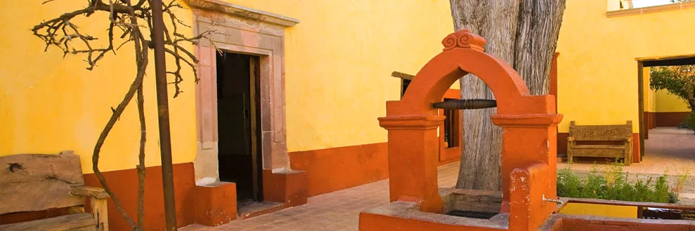 Foto Galería