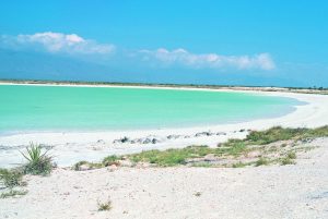 Explora todo lo que tiene Coahuila para ofrecerte