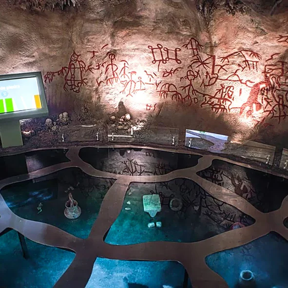 Museo Universitario de la Vida y Parque Ximbal