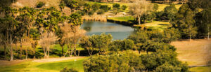 Baja Country Club
