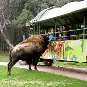 Bioparque Estrella Parque Temático