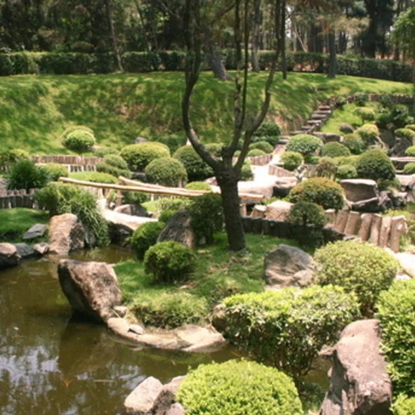 Bosque Colomos  