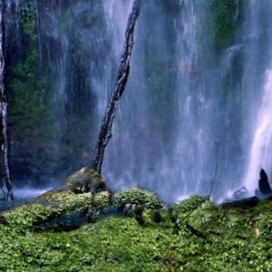 Ecoturismo Cañadas del Pixquiac