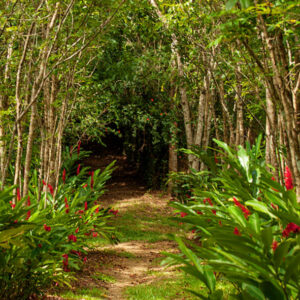 El Jardín de Dios
