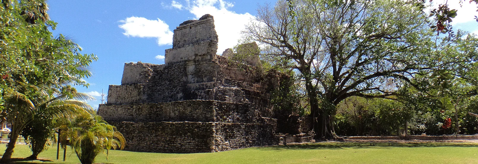 Foto Galería