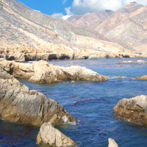 Isla de Cedros