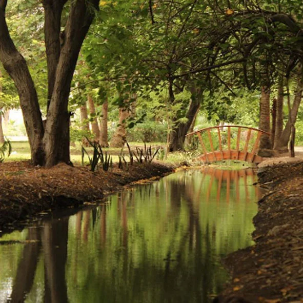 Jardín Botánico Benjamín Francis Johnston