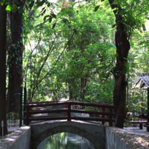 Jardín Botánico Faustino Miranda