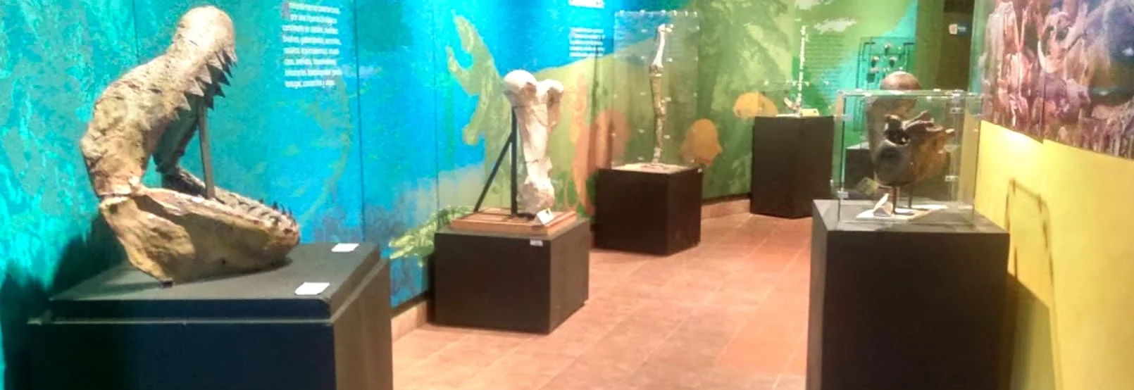 Foto Galería