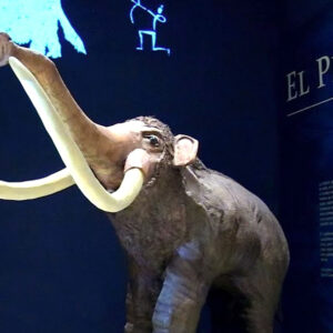 Museo de Azcapotzalco