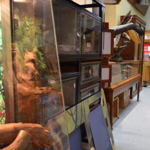Museo de Historia Natural Dr. Manuel M. Villada