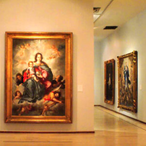 Museo de San Carlos