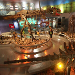 Museo del Desierto