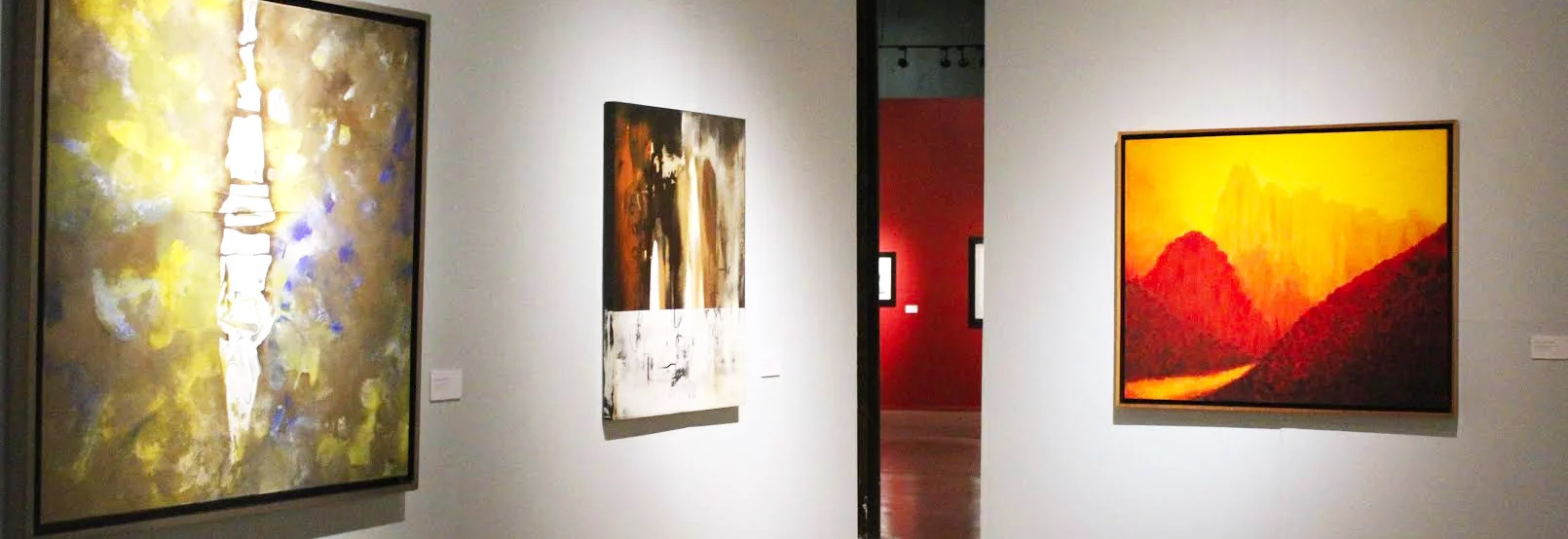 Foto Galería