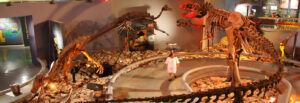 Museos en Saltillo