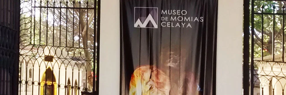 Foto Galería