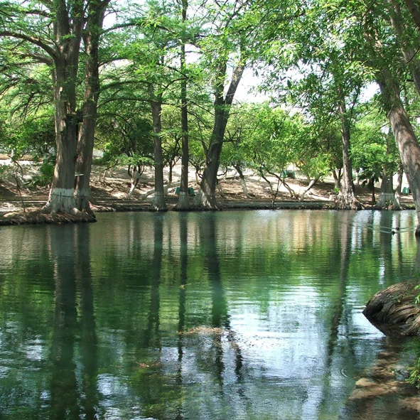Ojo de Agua en Lampazos
