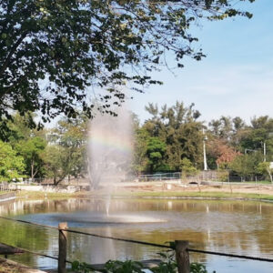 Parque Ávila Camacho