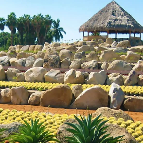 Parque Botánico Wirikuta Los Cabos