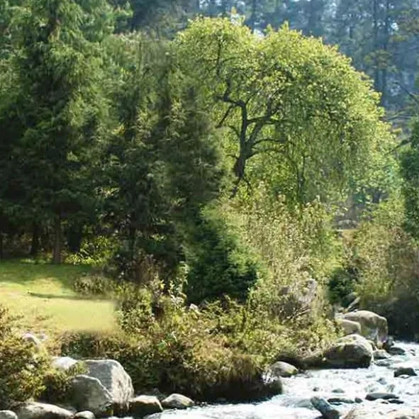 Parque Ecoturístico San Bernabé Ocotepec