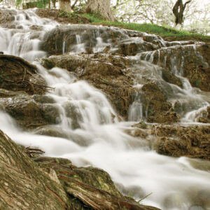 Parque La Cascada
