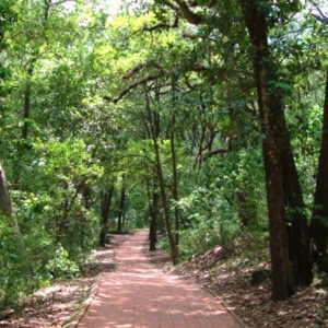 Parque La Estanzuela