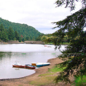 Parque Recreativo El Cedral 