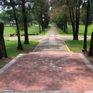 Parque Roberto Montenegro