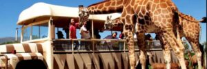 Parques Recreativos en el Estado de México
