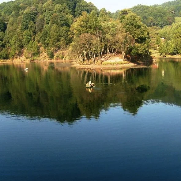 Presa El Llano
