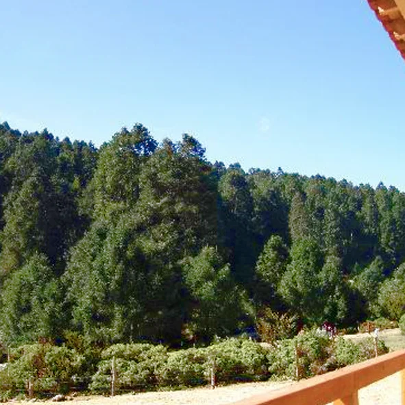 Sierra Chincua 