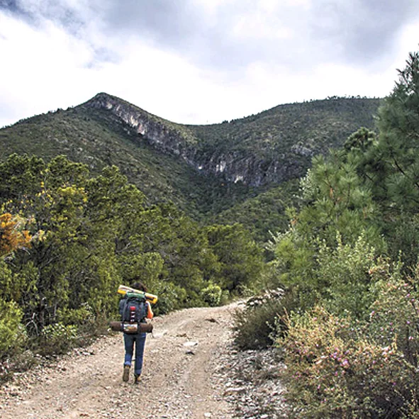 Sierra de Zapalinamé