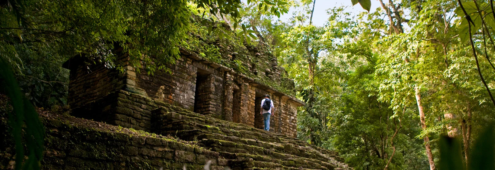 Foto Galería