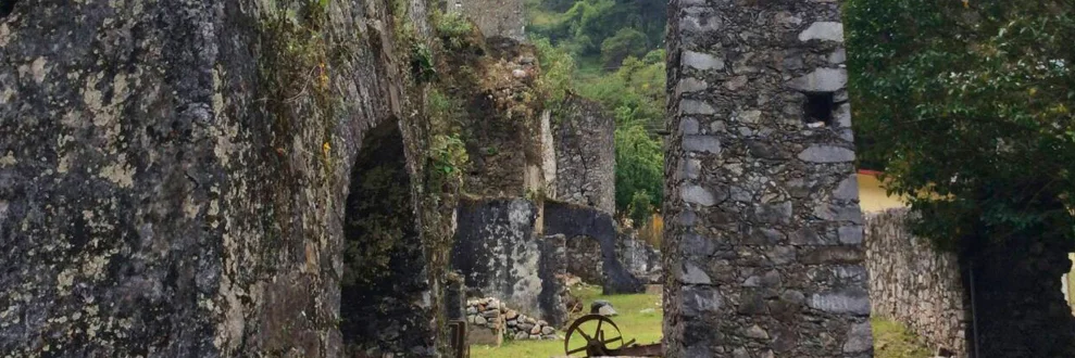 Foto Galería