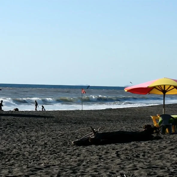 Foto Galería