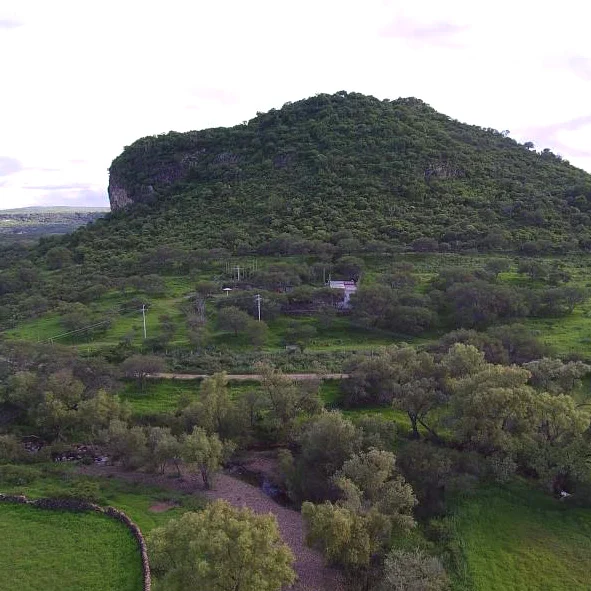 Cerro del Tuiche