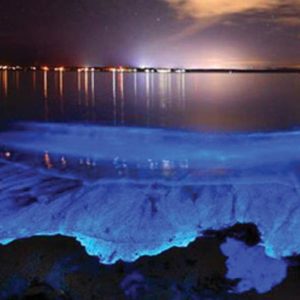 Ecotours en Puerto Escondido