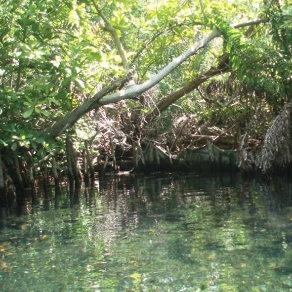 El Palmar Yucatán