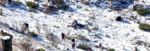 Montañismo en Coahuila