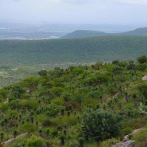 Parque Nacional El Cimatario