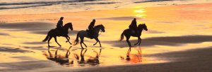 Paseos a Caballo en Acapulco