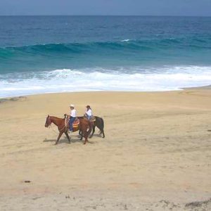 Paseos a Caballo en Los Cabos