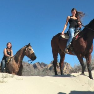Paseos a Caballo en México
