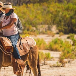 Paseos en Burro o en Mula en México