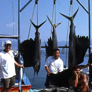 Pesca Deportiva en Acapulco