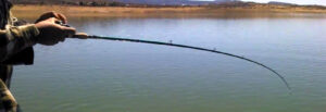 Pesca en Chihuahua