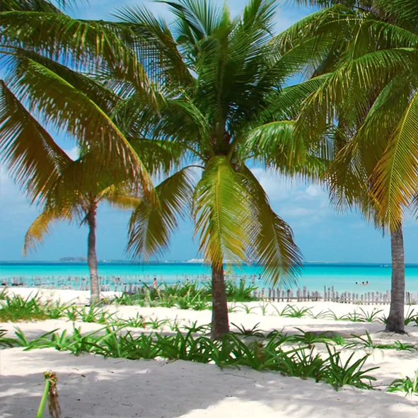 Mejores Playas de Isla Mujeres