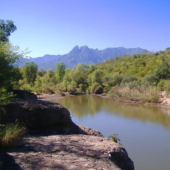 Sierra de Álamos - Río Cuchujaqui
