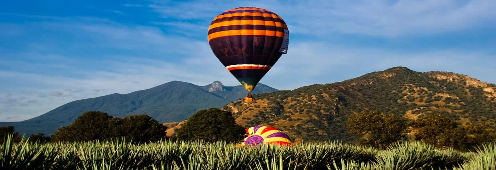 Foto Galería