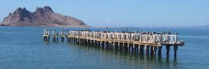 Que ver y hacer en Bahía de Kino
